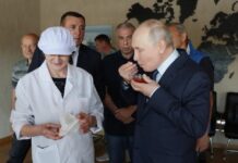 Россия грозит Японии ядерным оружием из-за Курильских островов