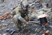 Зеленский подписал указ о новом профессиональном празднике для бойцов ВСУ: кого и когда поздравлять