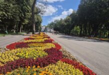 Прогноз погоды в Харькове на 16 августа: солнечный день с комфортными температурами.