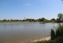Предприниматель незаконно использовал 111 гектаров водоема в Харьковской области: суд вернул его общине
