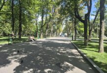Ухватить лето за хвост: топ-5 локаций, которые стоит посетить в Харькове в августе