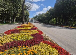 Днем жара, ночью почти осень: прогноз на неделю