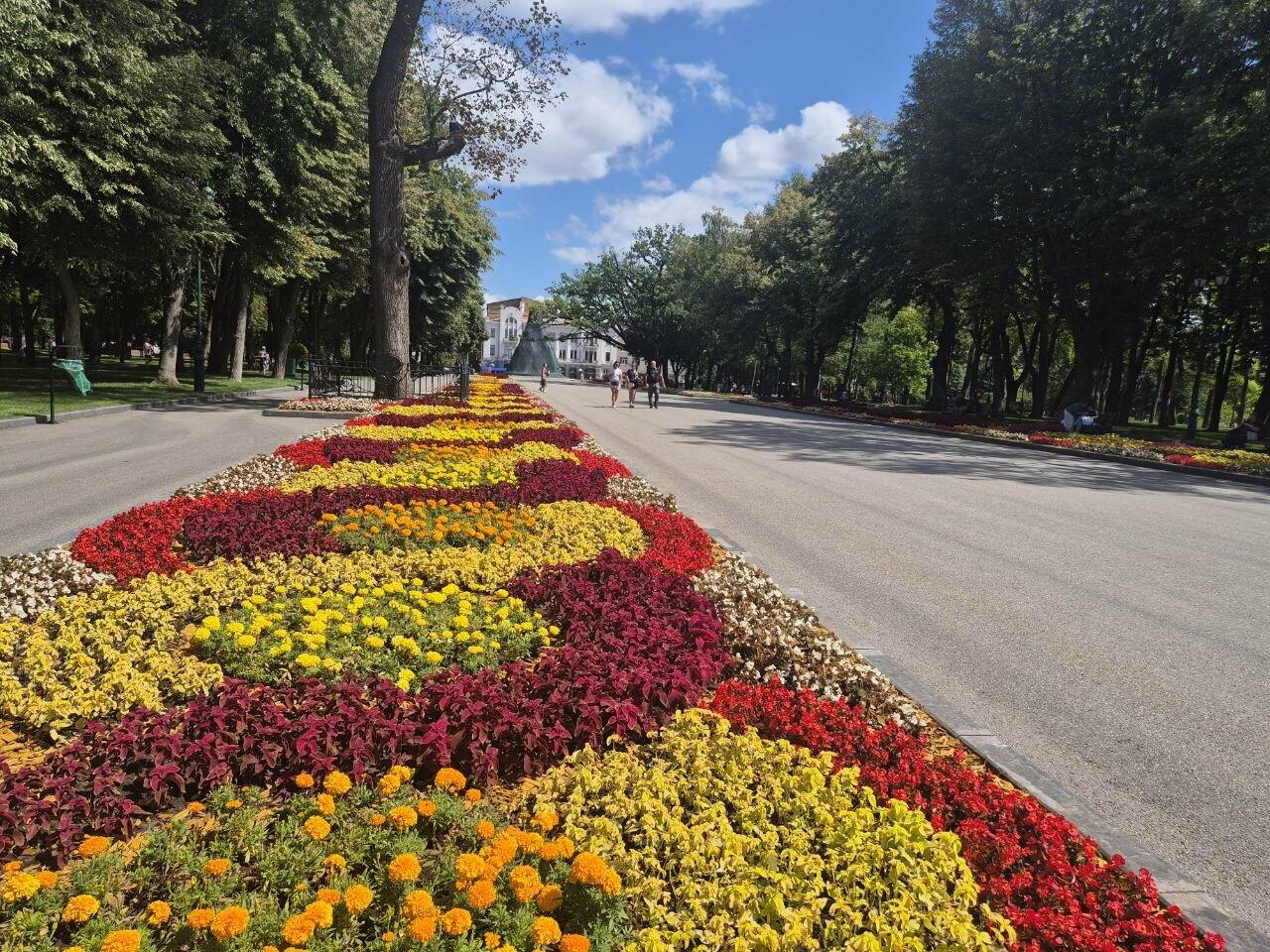 Днем жара, ночью почти осень: прогноз на неделю