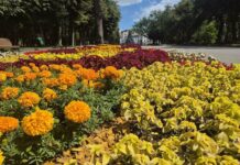 Жара набирает обороты: какой будет погода в Харькове на следующей неделе