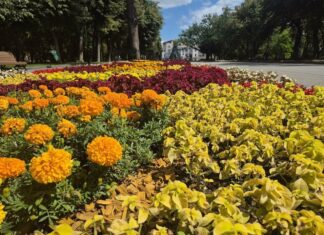 Жара набирает обороты: какой будет погода в Харькове на следующей неделе