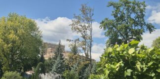 Жара сменится прохладой: какой будет погода в Харькове на этой неделе