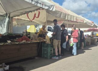 В Харькове дешевеют овощи и бахчевые: сколько сейчас стоят сезонные продукты