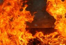 Два человека погибли в огне: Харьковщину накрыла чрезвычайная пожарная опасность