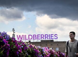 Украина вывела из строя 7 из 10 крупнейших центров Wildberries, — Минобороны
