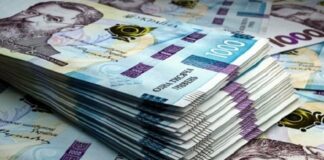 До 2,5 млн грн на бизнес: «Собственное дело» запускает новые правила с сентября