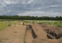 Более 34 гектаров археологического памятника в Харьковской области незаконно засеяли пшеницей: землю вернули государству