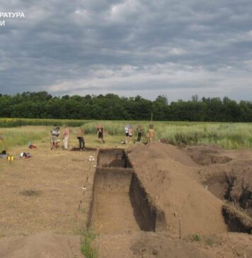 Более 34 гектаров археологического памятника в Харьковской области незаконно засеяли пшеницей: землю вернули государству