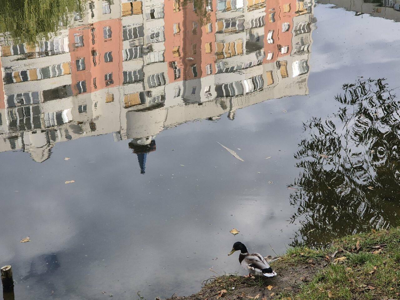 Прогноз погоды в Харькове на 6 сентября: дожди и умеренная температура.