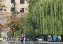 До +27° и без дождей: какой будет погода в Харькове и области в эти выходные