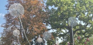 «Уже на старте настоящее бабье лето»: погода в Харькове на выходные