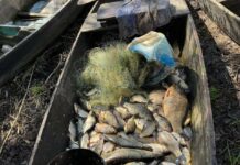 В Харьковской области мужчина незаконно ловил рыбу: среди улова — краснокнижные караси
