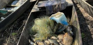 В Харьковской области мужчина незаконно ловил рыбу: среди улова — краснокнижные караси