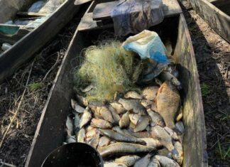 В Харьковской области мужчина незаконно ловил рыбу: среди улова — краснокнижные караси