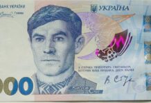 Историческая банкнота: лицо Василия Стуса вроде нового высокого номинала
