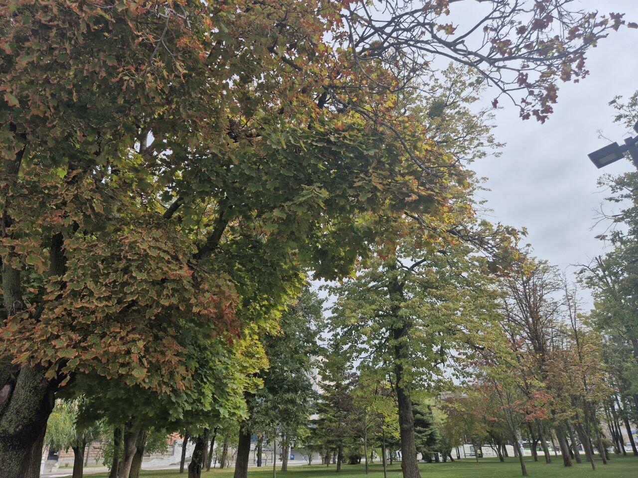 Прогноз погоды в Харькове на 26 сентября: облачно и прохладно.