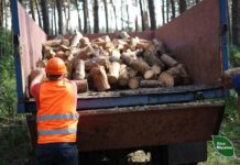 «Разбирают вдвое быстрее»: в Харьковской области ажиотаж вокруг дров перед зимой