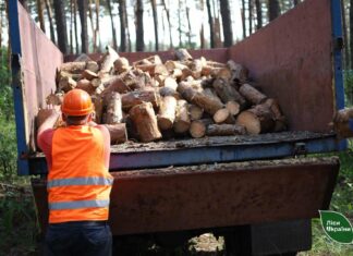 «Разбирают вдвое быстрее»: в Харьковской области ажиотаж вокруг дров перед зимой