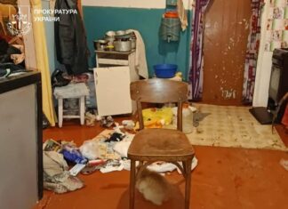 Избил, связал и вынес даже домашние закрутки: в Харьковской области пожилая женщина пережила 10 часов ужаса из-за «долга»