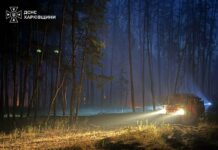 Леса Харьковщины пылают: спасатель одновременно тушат 7 пожаров, охвативших более 150 гектаров