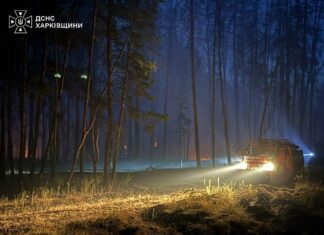 Леса Харьковщины пылают: спасатель одновременно тушат 7 пожаров, охвативших более 150 гектаров