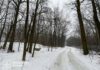 Здание в 125 квадратов стало основанием для аренды 2 гектаров: Харьков возвращают землю