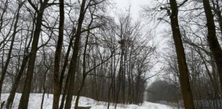 Здание в 125 квадратов стало основанием для аренды 2 гектаров: Харьков возвращают землю