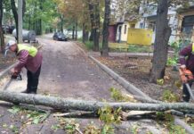 Сильный ветер натворил беды в Харькове: более 160 деревьев упали, десятки тысяч людей без света