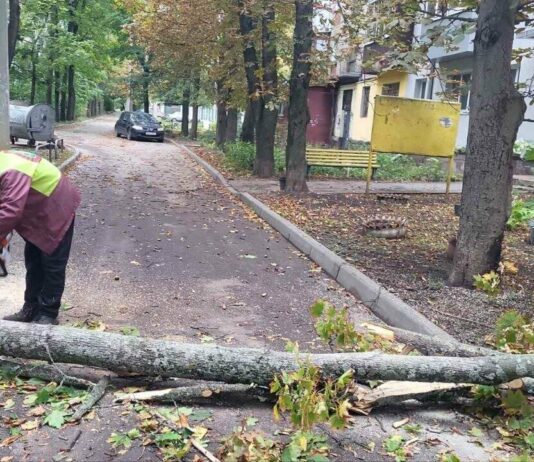 Сильный ветер натворил беды в Харькове: более 160 деревьев упали, десятки тысяч людей без света
