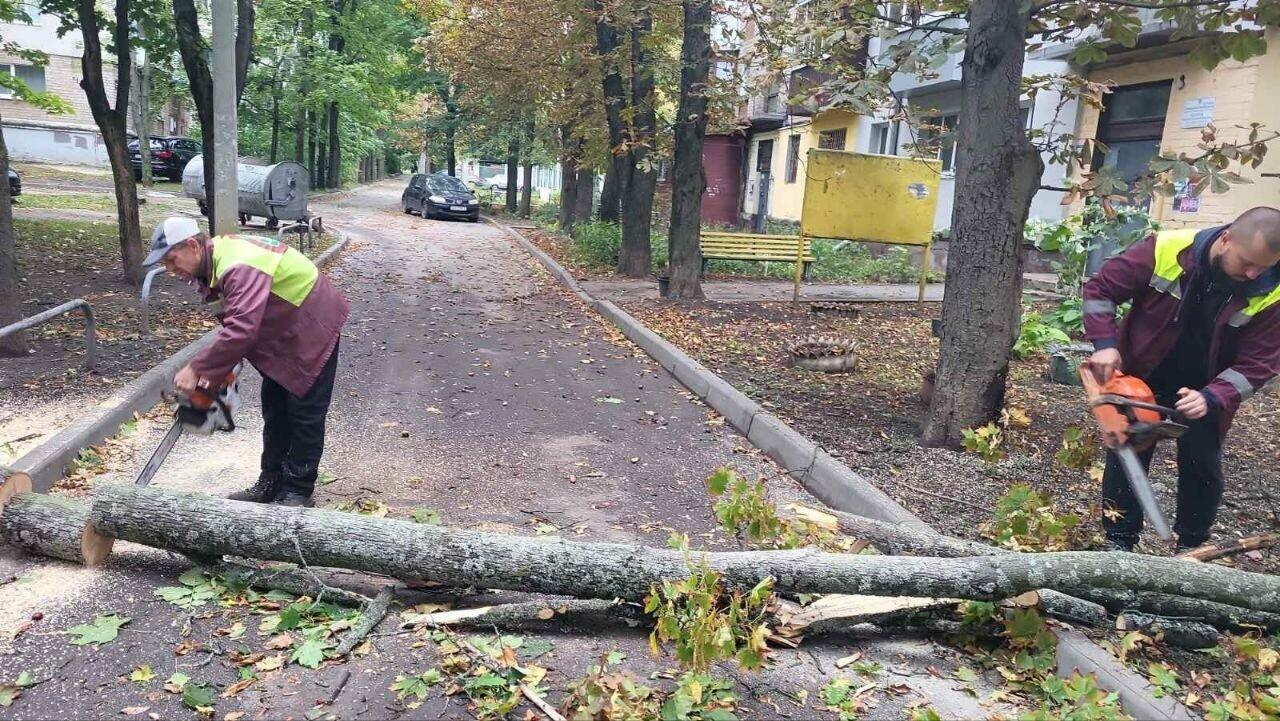 Сильный ветер натворил беды в Харькове: более 160 деревьев упали, десятки тысяч людей без света