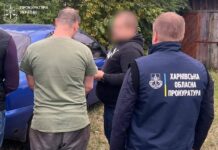Не услышал бензопилы и не увидел грузовики: в Харьковской области разоблачили служебную халатность