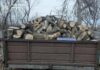 В Харьковской области «черные лесорубы» уничтожили деревьев на полмиллиона гривен