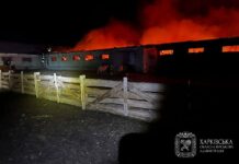 Обстрелы в сутки: решисты атаковали агропредприятия и дома людей на Харьковщине