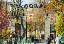 Зоопарк на генераторах: парки Харькова остались без централизованного освещения