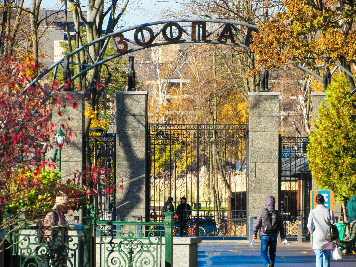 Зоопарк на генераторах: парки Харькова остались без централизованного освещения