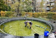Пока в Харькове еще до +17°, коммунальщики уже готовят фонтаны к зиме