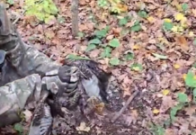 Вражеский дрон оставил опасную ловушку: в Харьковской области полицейские освободили птицу