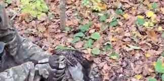 Вражеский дрон оставил опасную ловушку: в Харьковской области полицейские освободили птицу