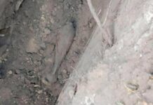 В пригороде Харькова строят новый водопровод: прямо под землей нашли боеприпасы времен Второй мировой