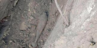 В пригороде Харькова строят новый водопровод: прямо под землей нашли боеприпасы времен Второй мировой