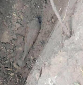В пригороде Харькова строят новый водопровод: прямо под землей нашли боеприпасы времен Второй мировой