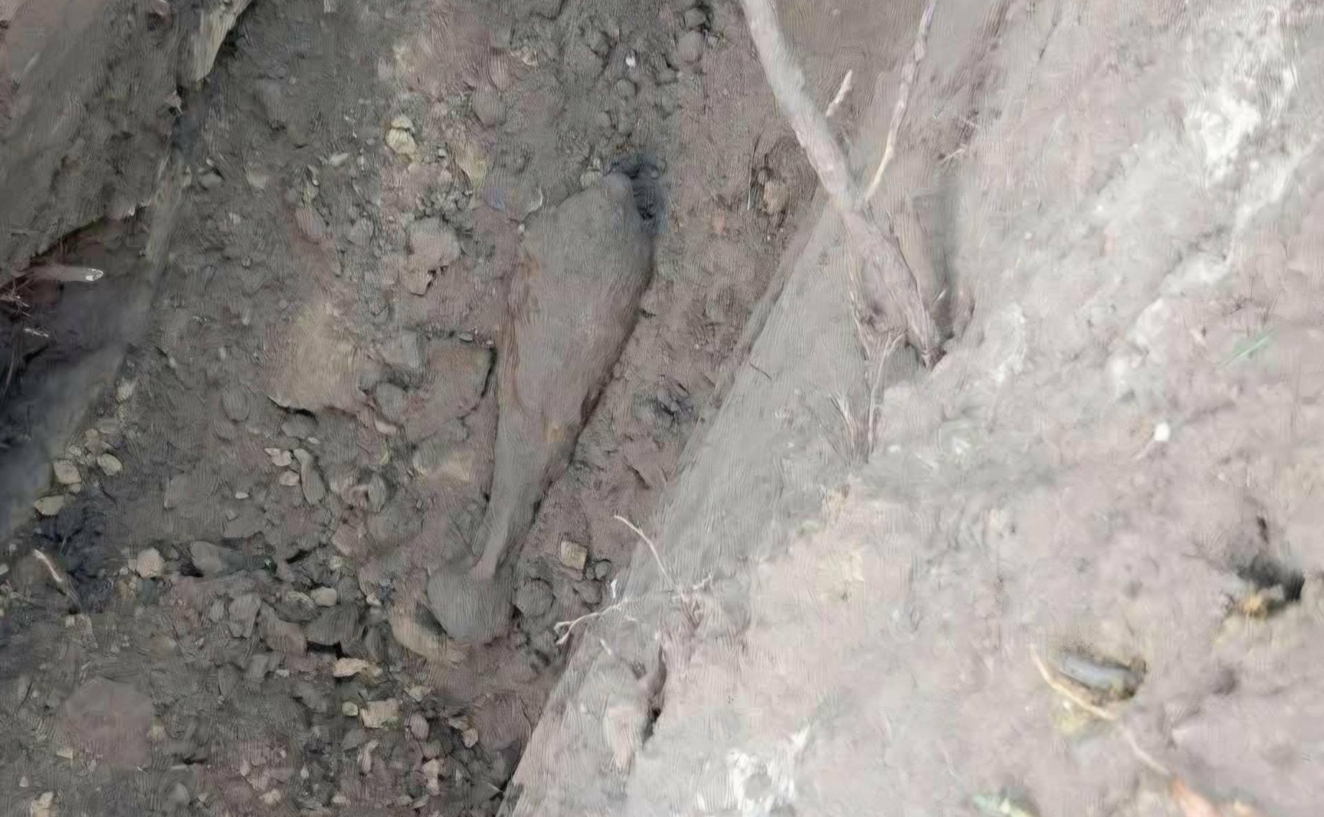 В пригороде Харькова строят новый водопровод: прямо под землей нашли боеприпасы времен Второй мировой