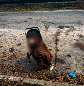 Кровавый удар рашистов по парку в Харьковской области: погибли две женщины и младенец, среди раненых — семеро детей, — ОБНОВЛЕНО