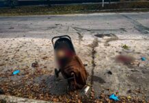 Рашисты ударили по парку в Харьковской области: погибли две женщины и младенец, среди раненых — семеро детей