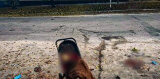 Рашисты ударили по парку в Харьковской области: погибли две женщины и младенец, среди раненых — семеро детей