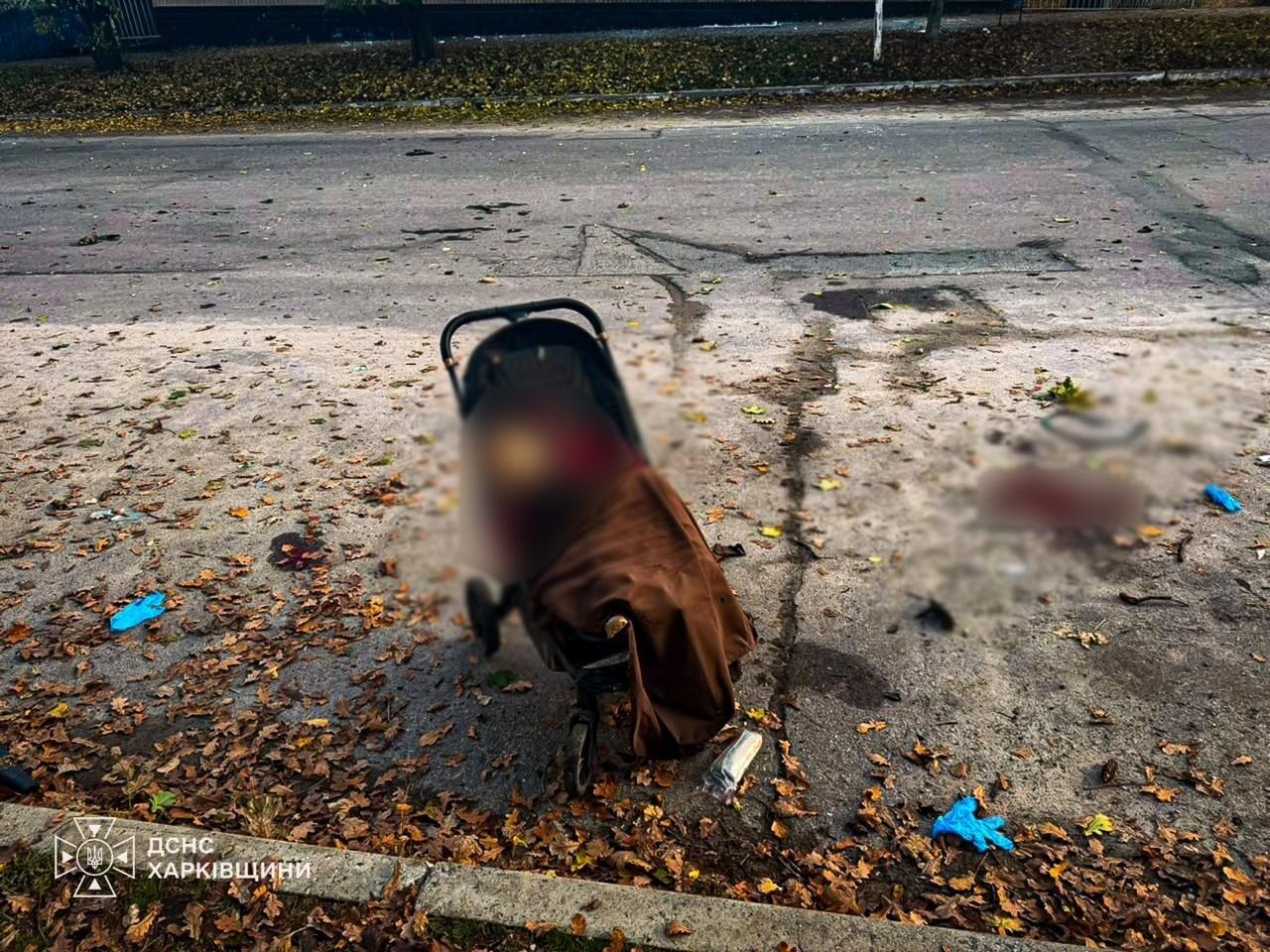 Рашисты ударили по парку в Харьковской области: погибли две женщины и младенец, среди раненых — семеро детей